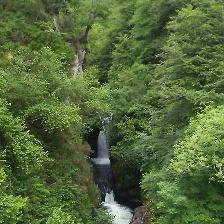 Rural La Flor Del Nogal 3* Ruente