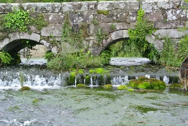 Отель Rural La Flor Del Nogal 3*